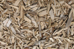 biomass boilers Cursiter